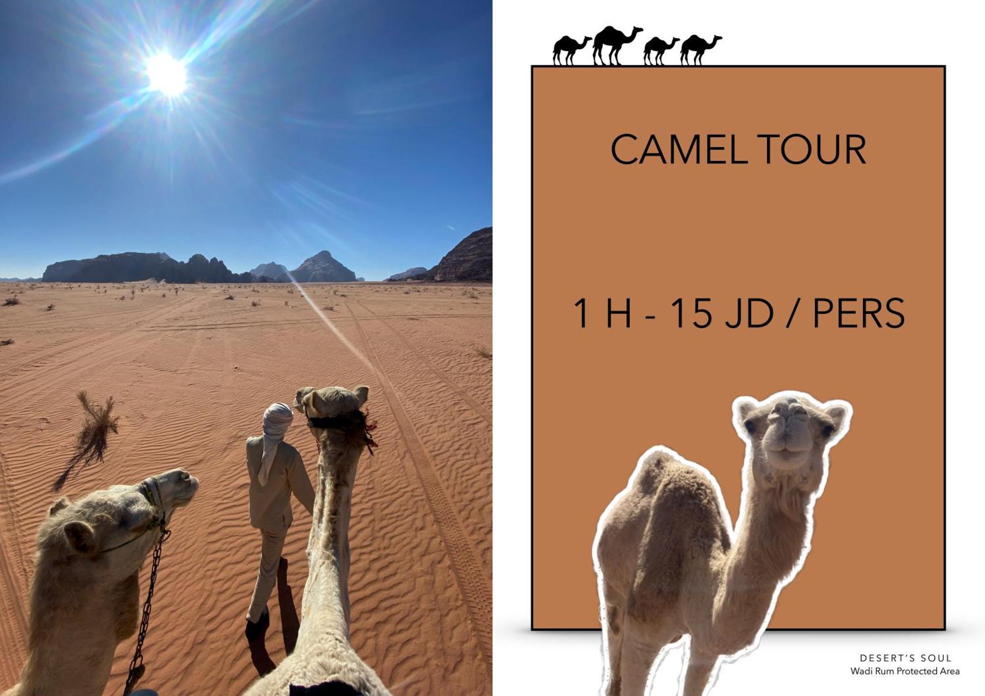 Desert'S Soul Wadi Rum Ad Disah 外观 照片