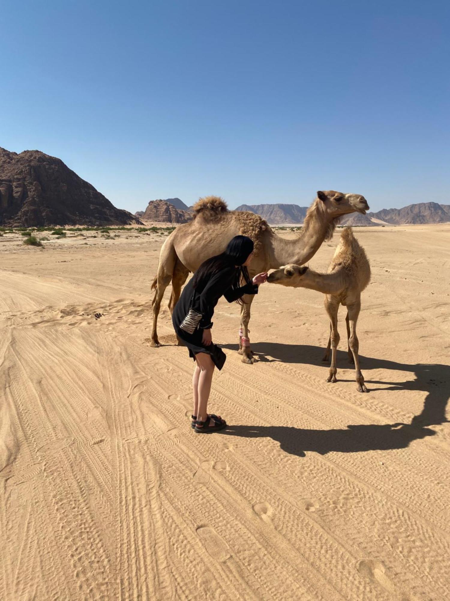 Desert'S Soul Wadi Rum Ad Disah 外观 照片